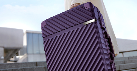 Купить Чемодан NINETYGO Aluminum Frame PC Luggage V1 24'', Черный по ...
