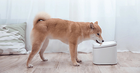 Купить Поилка умная автоматическая Xiaomi Smart Pet Fountain, Белый по ...