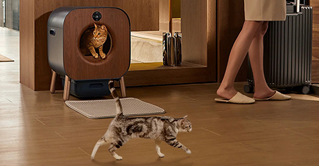 Купить Лоток умный самоочищающийся PAWBBY, Черный по доступной цене с ...