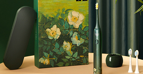 Купить Зубная щетка электрическая SOOCAS Van Gogh X3U, Зеленая по ...