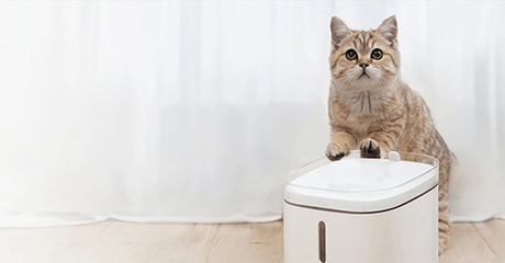 Купить Поилка умная автоматическая Xiaomi Smart Pet Fountain, Белый по ...